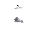 Khuyên tai bạc 925, thiết kế hoa daisy đá rơi, chốt vặn bi KCV56.135